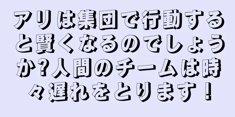 アリは集団で行動すると賢くなるのでしょうか?人間のチームは時々遅れをとります！