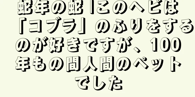 蛇年の蛇 |このヘビは「コブラ」のふりをするのが好きですが、100年もの間人間のペットでした