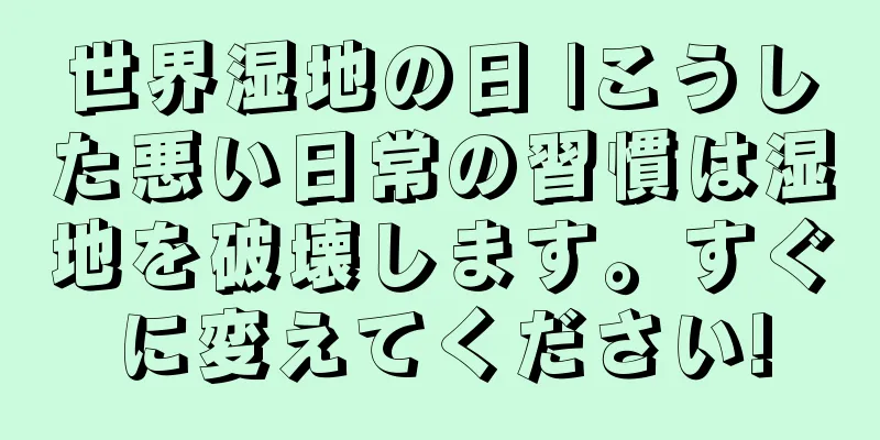 世界湿地の日 |こうした悪い日常の習慣は湿地を破壊します。すぐに変えてください!