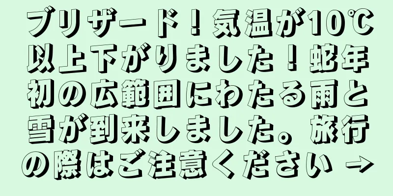 ブリザード！気温が10℃以上下がりました！蛇年初の広範囲にわたる雨と雪が到来しました。旅行の際はご注意ください →