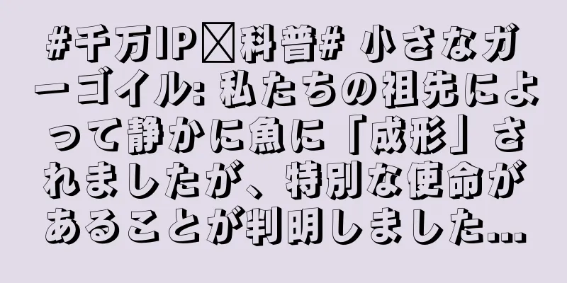 #千万IP创科普# 小さなガーゴイル: 私たちの祖先によって静かに魚に「成形」されましたが、特別な使命があることが判明しました...