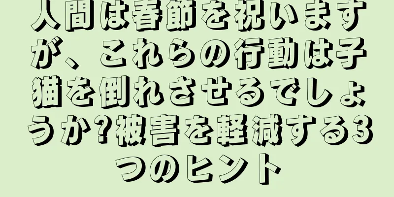 人間は春節を祝いますが、これらの行動は子猫を倒れさせるでしょうか?被害を軽減する3つのヒント
