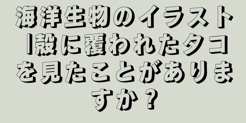 海洋生物のイラスト |殻に覆われたタコを見たことがありますか？