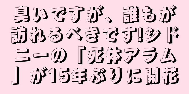 臭いですが、誰もが訪れるべきです!シドニーの「死体アラム」が15年ぶりに開花