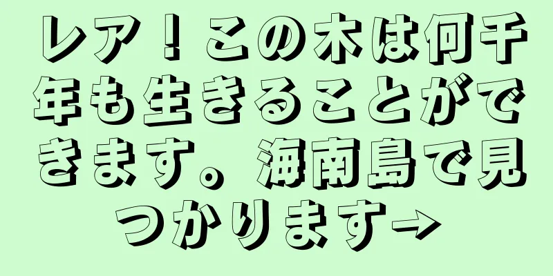 レア！この木は何千年も生きることができます。海南島で見つかります→