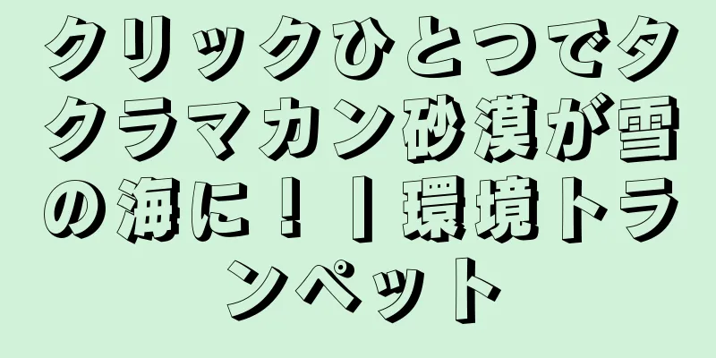 クリックひとつでタクラマカン砂漠が雪の海に！丨環境トランペット