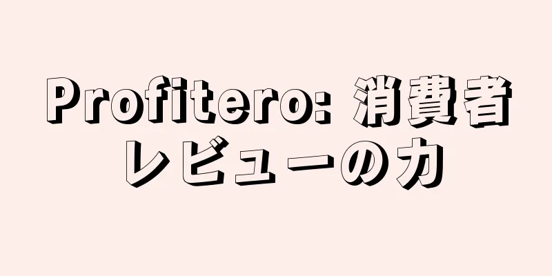 Profitero: 消費者レビューの力