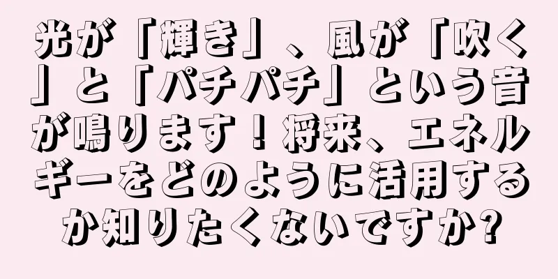 光が「輝き」、風が「吹く」と「パチパチ」という音が鳴ります！将来、エネルギーをどのように活用するか知りたくないですか?