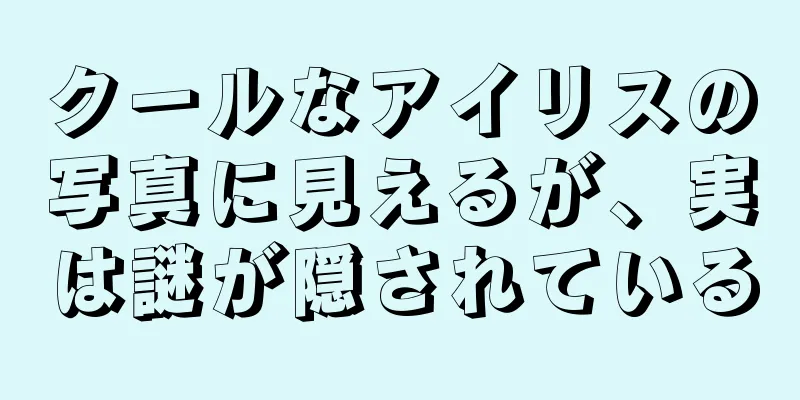 クールなアイリスの写真に見えるが、実は謎が隠されている