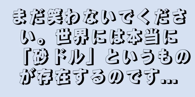 まだ笑わないでください。世界には本当に「砂ドル」というものが存在するのです...