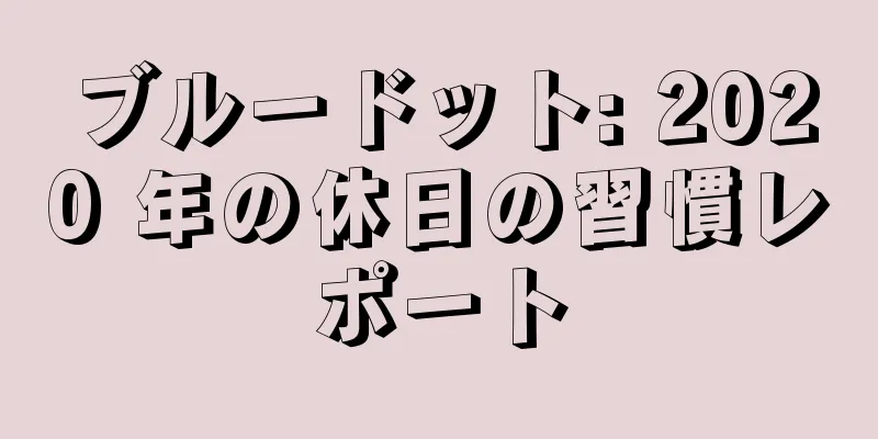 ブルードット: 2020 年の休日の習慣レポート