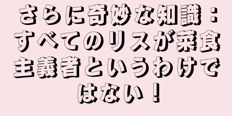 さらに奇妙な知識：すべてのリスが菜食主義者というわけではない！