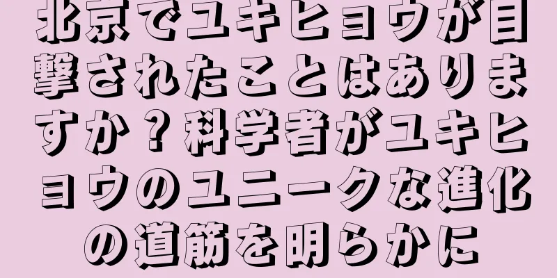北京でユキヒョウが目撃されたことはありますか？科学者がユキヒョウのユニークな進化の道筋を明らかに