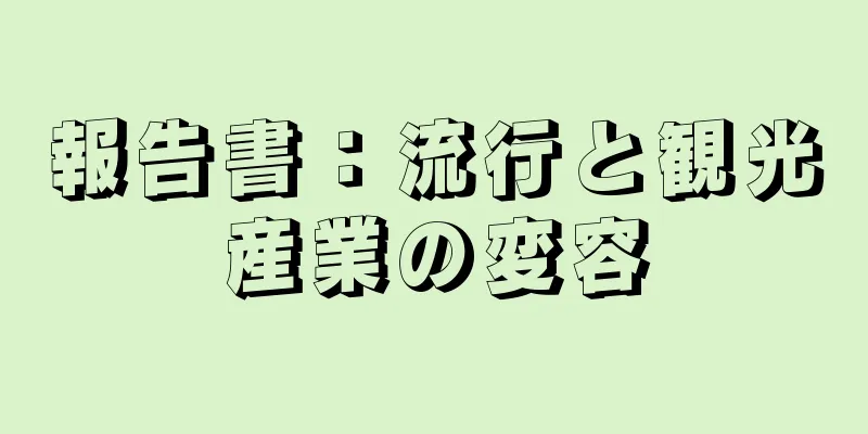 報告書：流行と観光産業の変容