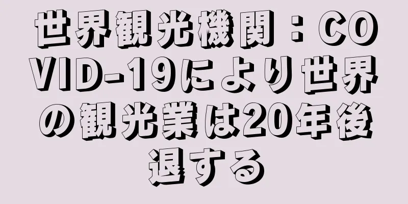世界観光機関：COVID-19により世界の観光業は20年後退する