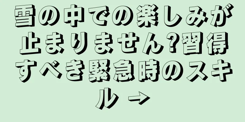 雪の中での楽しみが止まりません?習得すべき緊急時のスキル →