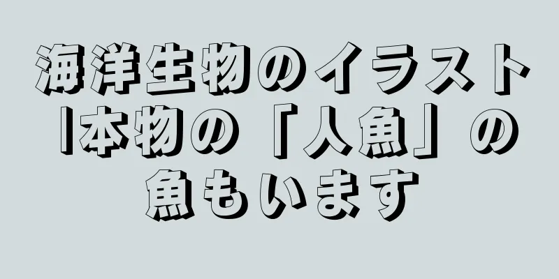 海洋生物のイラスト |本物の「人魚」の魚もいます