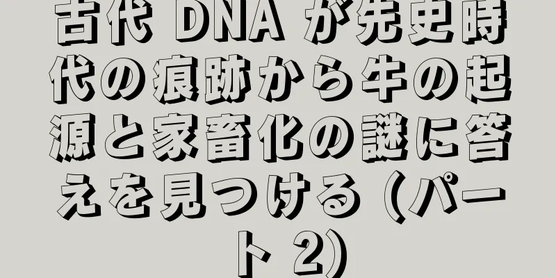 古代 DNA が先史時代の痕跡から牛の起源と家畜化の謎に答えを見つける (パート 2)