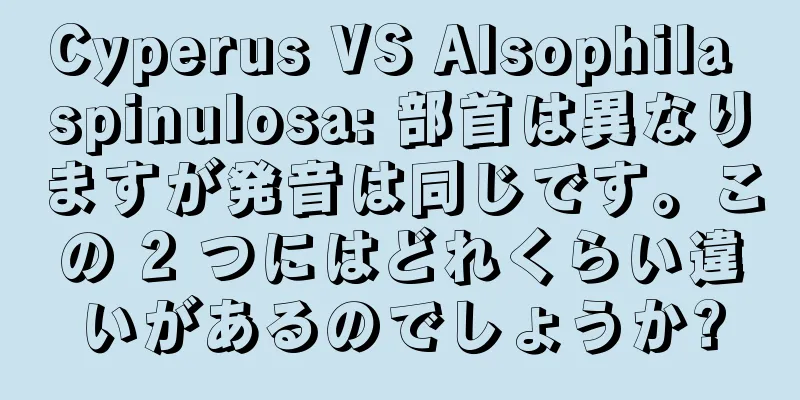 Cyperus VS Alsophila spinulosa: 部首は異なりますが発音は同じです。この 2 つにはどれくらい違いがあるのでしょうか?