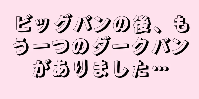 ビッグバンの後、もう一つのダークバンがありました…