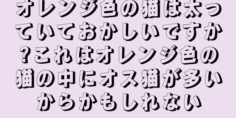 オレンジ色の猫は太っていておかしいですか?これはオレンジ色の猫の中にオス猫が多いからかもしれない