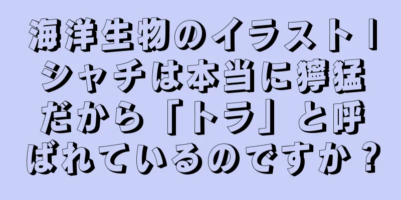 海洋生物のイラスト |シャチは本当に獰猛だから「トラ」と呼ばれているのですか？
