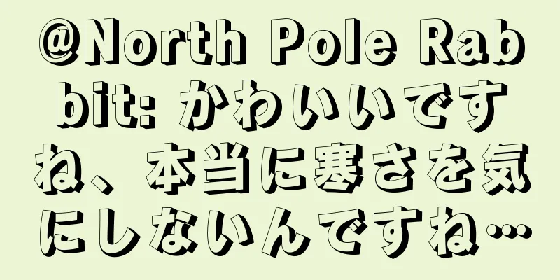@North Pole Rabbit: かわいいですね、本当に寒さを気にしないんですね…