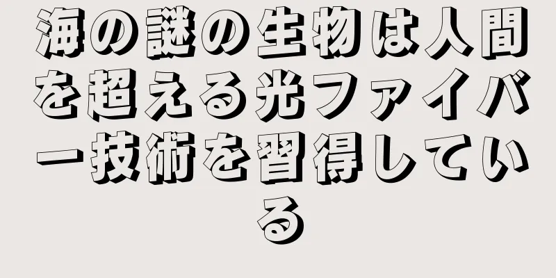 海の謎の生物は人間を超える光ファイバー技術を習得している