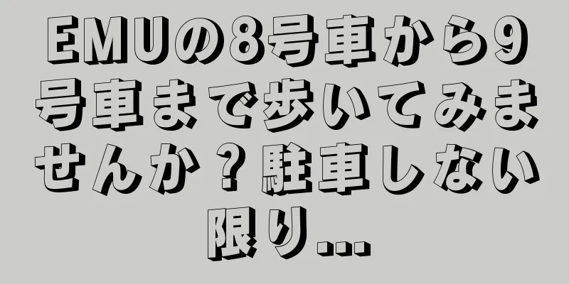 EMUの8号車から9号車まで歩いてみませんか？駐車しない限り...