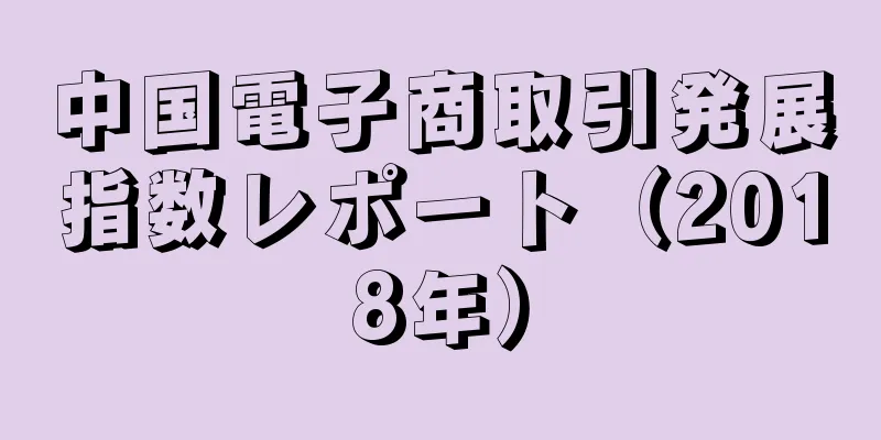 中国電子商取引発展指数レポート（2018年）