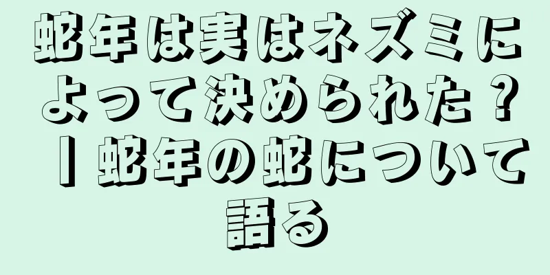 蛇年は実はネズミによって決められた？丨蛇年の蛇について語る