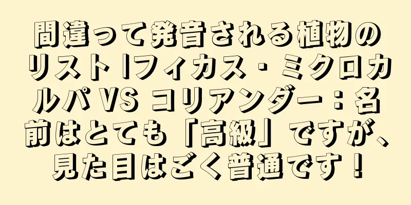 間違って発音される植物のリスト |フィカス・ミクロカルパ VS コリアンダー：名前はとても「高級」ですが、見た目はごく普通です！