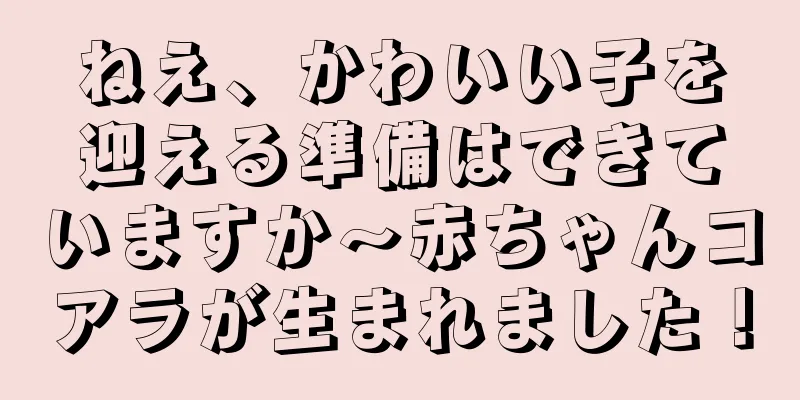 ねえ、かわいい子を迎える準備はできていますか〜赤ちゃんコアラが生まれました！