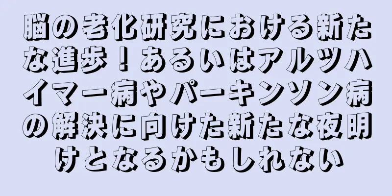 脳の老化研究における新たな進歩！あるいはアルツハイマー病やパーキンソン病の解決に向けた新たな夜明けとなるかもしれない