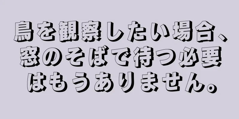 鳥を観察したい場合、窓のそばで待つ必要はもうありません。