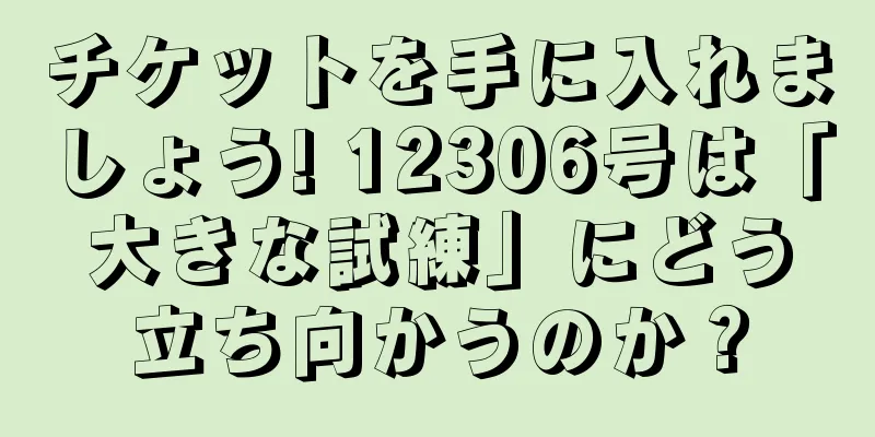 チケットを手に入れましょう! 12306号は「大きな試練」にどう立ち向かうのか？