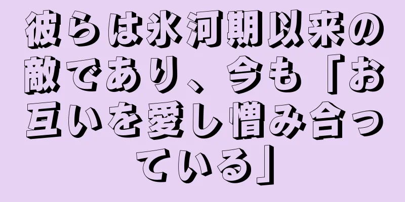 彼らは氷河期以来の敵であり、今も「お互いを愛し憎み合っている」