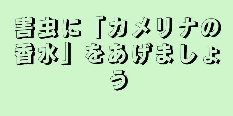 害虫に「カメリナの香水」をあげましょう