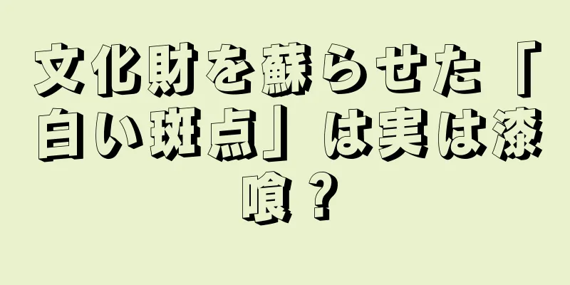 文化財を蘇らせた「白い斑点」は実は漆喰？