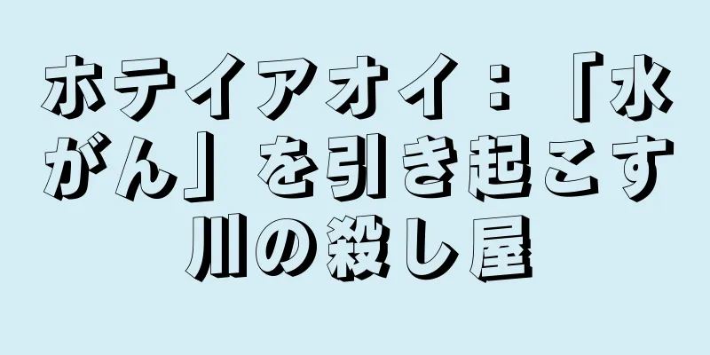 ホテイアオイ：「水がん」を引き起こす川の殺し屋