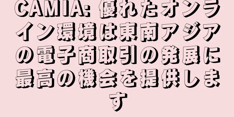 CAMIA: 優れたオンライン環境は東南アジアの電子商取引の発展に最高の機会を提供します