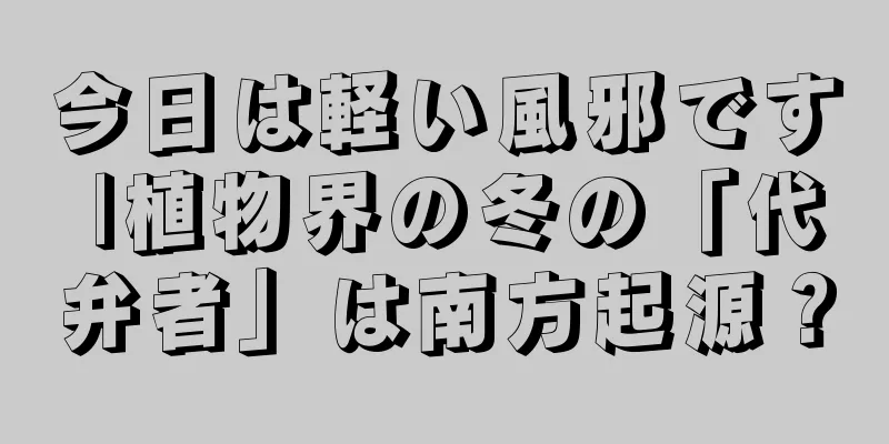 今日は軽い風邪です |植物界の冬の「代弁者」は南方起源？