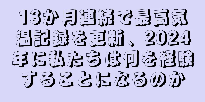 13か月連続で最高気温記録を更新、2024年に私たちは何を経験することになるのか