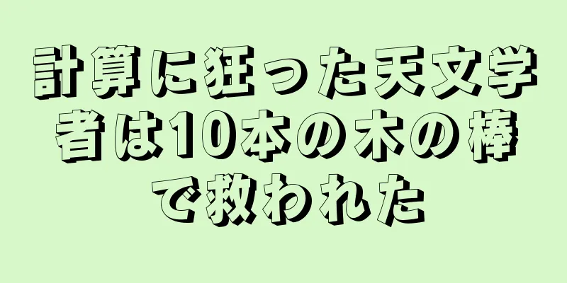 計算に狂った天文学者は10本の木の棒で救われた