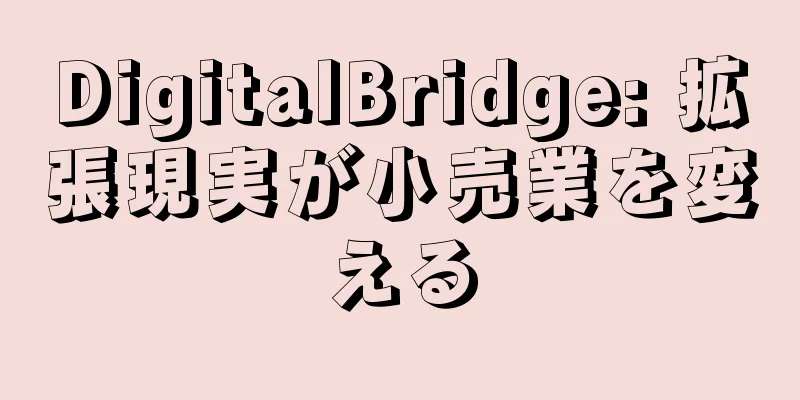 DigitalBridge: 拡張現実が小売業を変える
