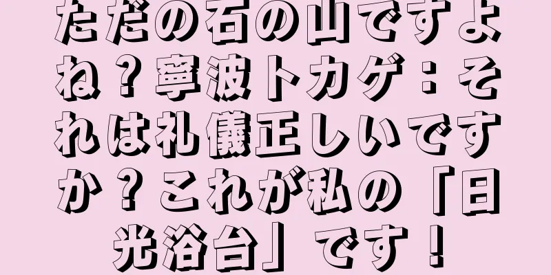 ただの石の山ですよね？寧波トカゲ：それは礼儀正しいですか？これが私の「日光浴台」です！