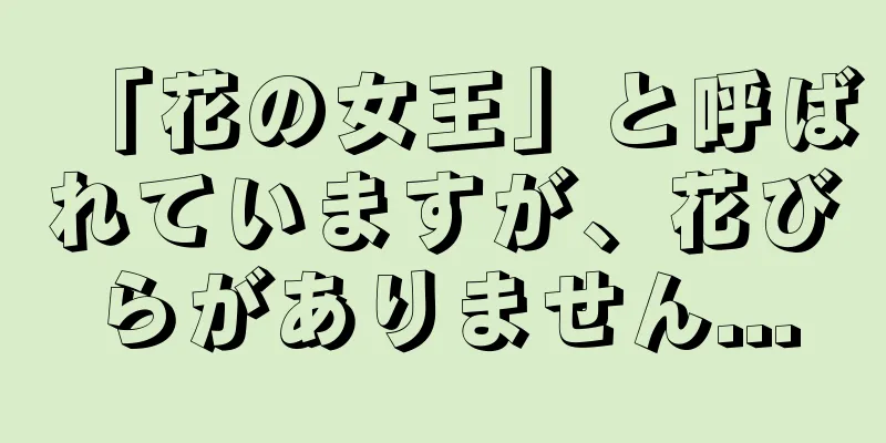 「花の女王」と呼ばれていますが、花びらがありません...