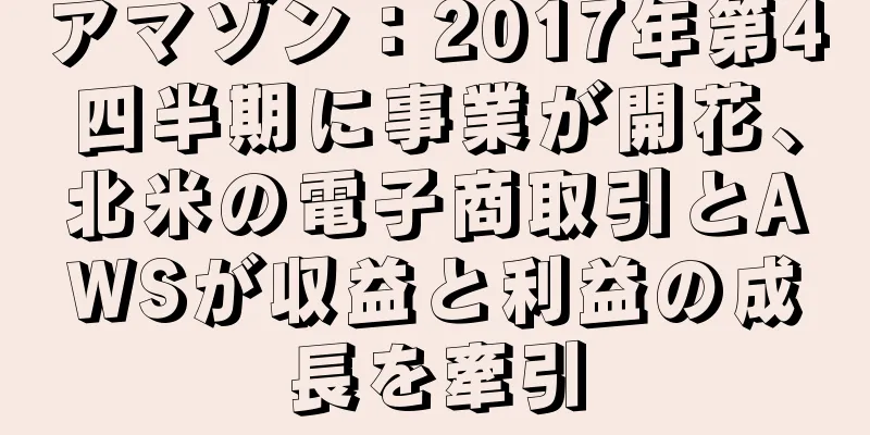 アマゾン：2017年第4四半期に事業が開花、北米の電子商取引とAWSが収益と利益の成長を牽引