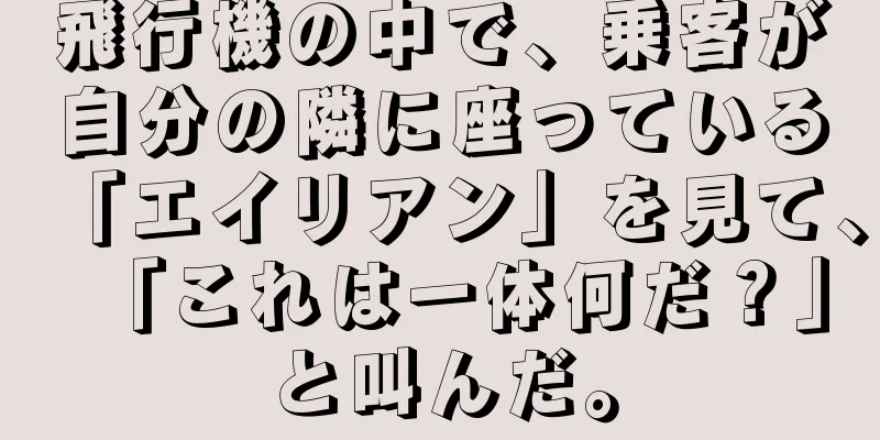 飛行機の中で、乗客が自分の隣に座っている「エイリアン」を見て、「これは一体何だ？」と叫んだ。