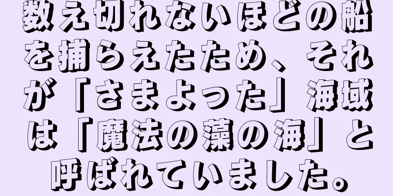 数え切れないほどの船を捕らえたため、それが「さまよった」海域は「魔法の藻の海」と呼ばれていました。